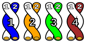 thumb_800px-4_twisted_pairs.svg